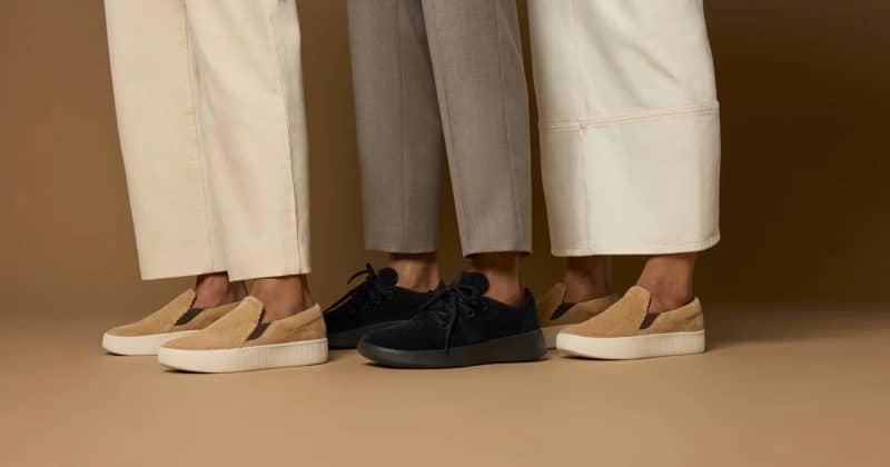 Allbirds stock moons 800% as it swaps sneakers for AI cloud